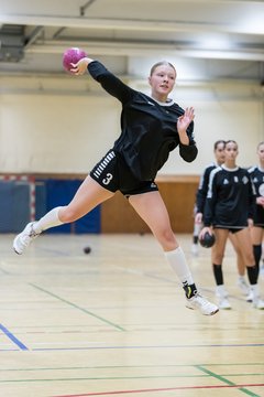 Bild 136 - wBJ TSV Ellerau - HSG Schue/We/Re : Ergebnis: 23:15